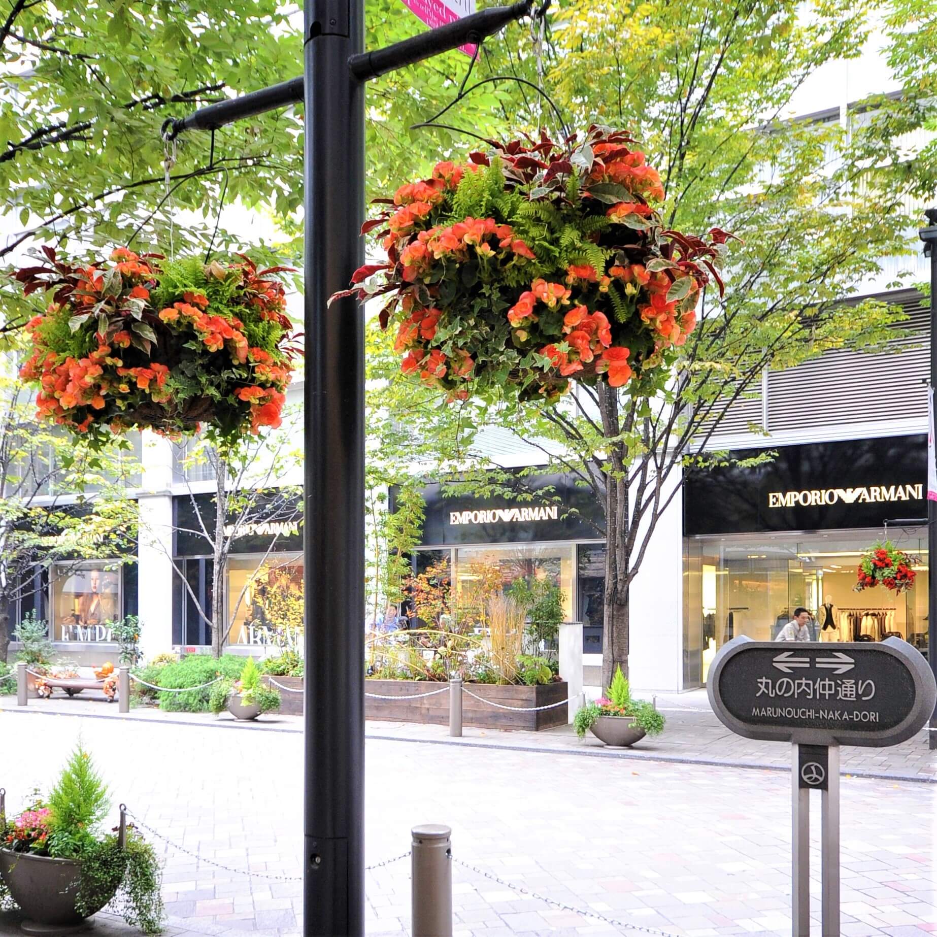 Vivo Color Your Life With Flowers